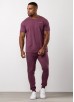 Gym King Fundamental Linear Tee - Mulberry